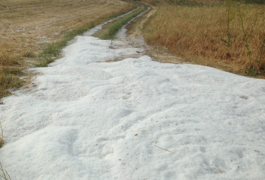 Τεράστιες οι καταστροφές από το χιονιά στις καλλιέργειες της Αιγιάλειας