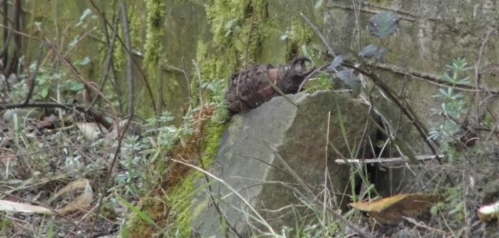 Αγρίνιο: Υπάλληλοι του Δήμου βρήκαν χειροβομβίδα - ΔΕΙΤΕ ΠΟΥ - ΦΩΤΟ