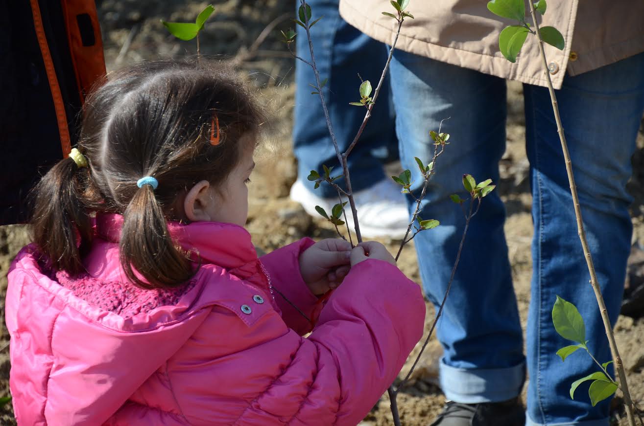 Ημέρα γιορτής για τους Πατρινούς! Ξεπέρασε κάθε προσδοκία η συμμετοχή στη δενδροφύτευση του νότιου πάρκου! Πράσινο και θάλασσα "παράδεισος" για τους πολίτες - ΦΩΤΟΓΡΑΦΙΕΣ