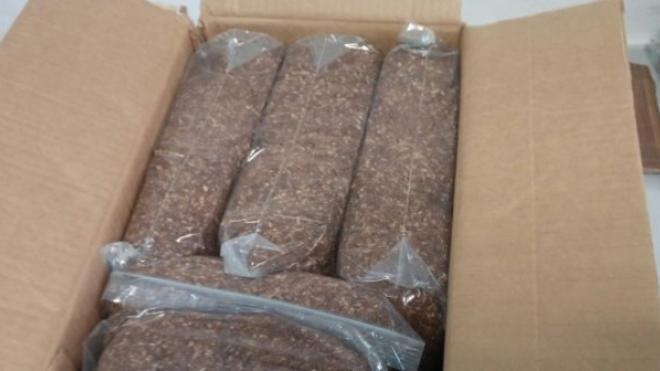 Πατρών - Πύργου: Επιβάτης λεωφορείου μετέφερε με 1.5 κιλό λαθραίο καπνό