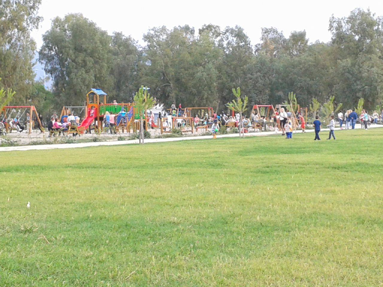 Πάτρα: Η "μεταμόρφωση" του νότιου πάρκου! 1500 δέντρα και τρία γήπεδα μπάσκετ και beach volley! Έργο που έγινε με ... ξεχασμένα εξαρτήματα στις αποθήκες του Δήμου - Καλούνται εθελοντές για τη δενδροφύτευση