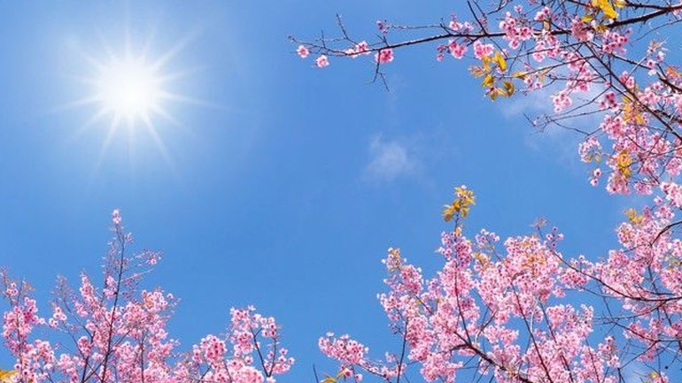 Δυτική Ελλάδα: Με καλό καιρό η έξοδος των εκδρομέων του Πάσχα και το ψήσιμο του οβελία - Που θα φθάσει η θερμοκρασία