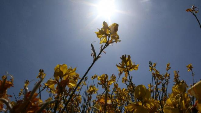 Δυτική Ελλάδα: Με τι καιρό θα ψήσουμε το Πάσχα τον οβελία - ΔΕΙΤΕ τι προβλέπει η ΕΜΥ