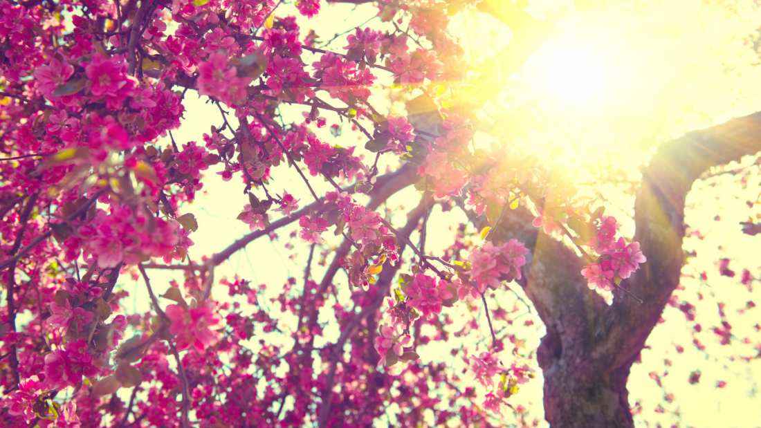 Ο καιρός το τριήμερο της Πρωτομαγιάς