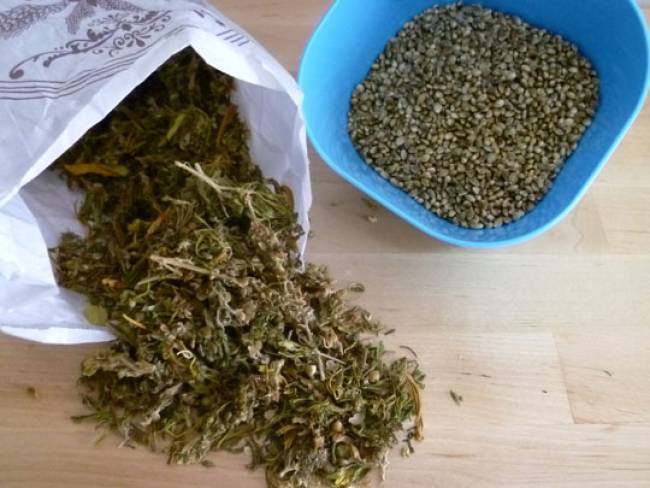 Συνελήφθησαν δύο άνδρες στην Ηλεία για κατοχή και καλλιέργεια ναρκωτικών