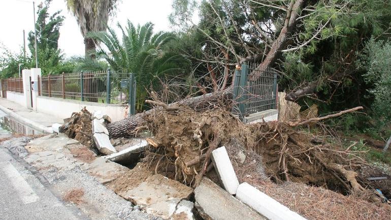 Ανεμοστρόβιλος σάρωσε τα χωριά των Τρικάλων