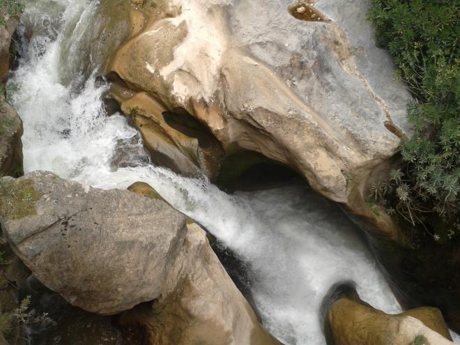 ΟΙΚΙΠΑ: Συνεχίζουμε τον αγώνα για την ποιότητα ζωής και το Φυσικό μας Περιβάλλον!