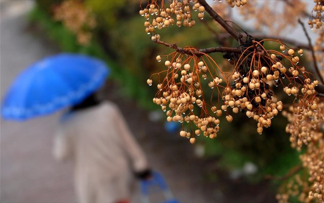 Αλλαγή του καιρού, με βροχές και καταιγίδες, από το Σάββατο