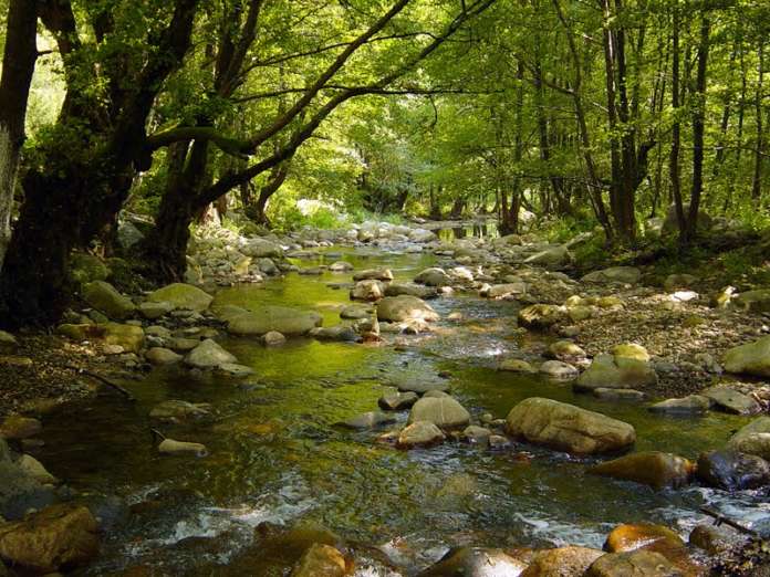 Αίσιο τέλος στην περιπέτεια 35χρονου από τον Πύργο, τα ίχνη του οποίου χάθηκαν την Τετάρτη, στον Ερύμανθο