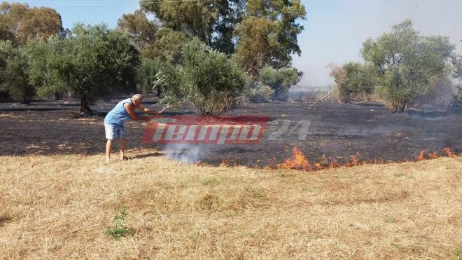 Φωτιά κατέκαψε 30 στρέμματα αγροτικής έκτασης στη Δυτική Αχαΐα - ΦΩΤΟ