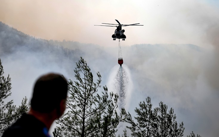 Υπό μερικό έλεγχο η φωτιά στο Κρυονέρι Αττικής