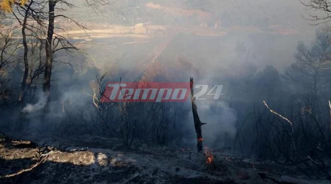 Μεγάλη πυρκαγιά στο δάσος της Αλφειούσας - Δυνάμεις και από Πάτρα - Επί ποδός Υπουργείο Πολιτισμού και Περιφέρεια για Αρχαία Ολυμπία και Φλόκα - ΔΕΙΤΕ ΦΩΤΟ και ΒΙΝΤΕΟ (ΝΕΟΤΕΡΑ)