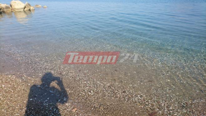 Πάτρα: Παραλία Δάφνες ώρα 9η πρωινή- Έκαναν πάρτι οι τσούχτρες- ΔΕΙΤΕ ΦΩΤΟ