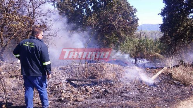 Πυρκαγιά σε αγροτική έκταση κοντά στην περιοχή του Γομοστού - Συναγερμός στην Πυροσβεστική Υπηρεσία (ΝΕΟΤΕΡΑ) - ΔΕΙΤΕ ΦΩΤΟΓΡΑΦΙΕΣ