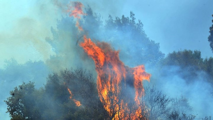 Μεγάλη πυρκαγιά σε δασική έκταση στο Εξωχώρι Μεσσηνίας