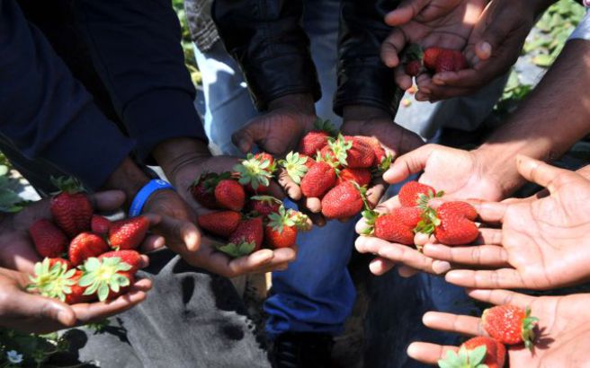 Με εντολή του Στ. Κοντονή ανακαλείται η αίτηση για επανεξέταση της καταδίκης της Ελλάδας για την Μανωλάδα