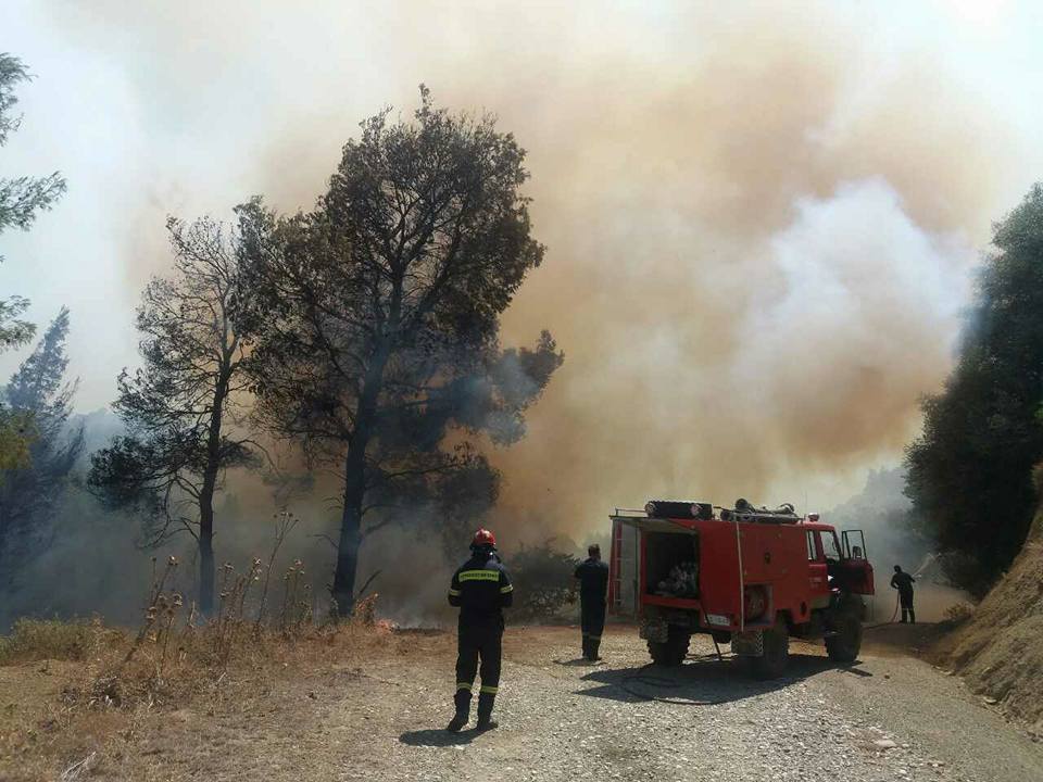 Υπό έλεγχο η πυρκαγιά στο Κάλφα Αχαΐας - Τραυματίστηκε ένας Πυροσβέστης - ΝΕΟΤΕΡΑ - ΦΩΤΟ