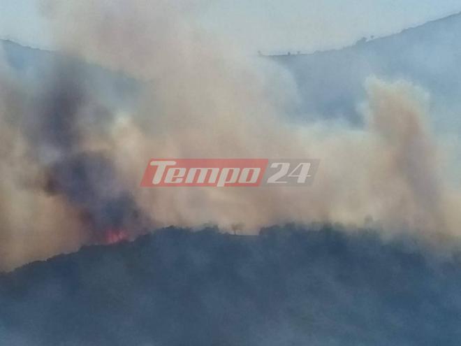 Ολονύχτια μάχη στις πυρκαγιές σε Άγιο Νικόλαο Σπάτα και Σανταμέρι Αχαΐας - Πως έχει η κατάσταση σήμερα- Μάχη με τους δυνατούς ανέμους δίνουν Πυροσβέστες, εθελοντές και Αρχές - ΔΕΙΤΕ ΦΩΤΟ και ΒΙΝΤΕΟ