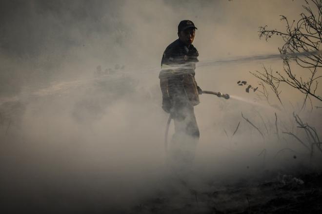 Ανεξέλεγκτη η πυρκαγιά στην Ηλεία - Εκκενώνεται το χωριό Περιστέρι, αρνούνται οι κάτοικοι να φύγουν - Φόβος τι θα γίνει τη νύχτα - Καταγγελίες για τα εναέρια μέσα (ΝΕΟΤΕΡΑ)- ΦΩΤΟΓΡΑΦΙΕΣ
