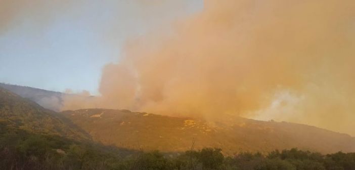 Ένταση σε πορεία αντεξουσιαστών - Επιτέθηκαν σε περαστικό με τατουάζ σβάστικα