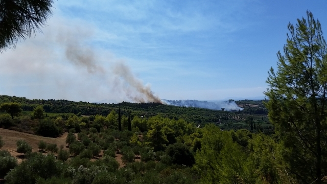 ΝΕΩΤΕΡΟ: Μεγάλη φωτιά στο Κρυονέρι Αμαλιάδας- Aπειλεί το χωριό Ανάληψη, προχωρά προς Περιστέρι- Δύο νέα μέτωπα φωτιάς στην Ηλεία- Αρνούνται να εγκαταλείψουν τα σπίτια τους οι κάτοικοι