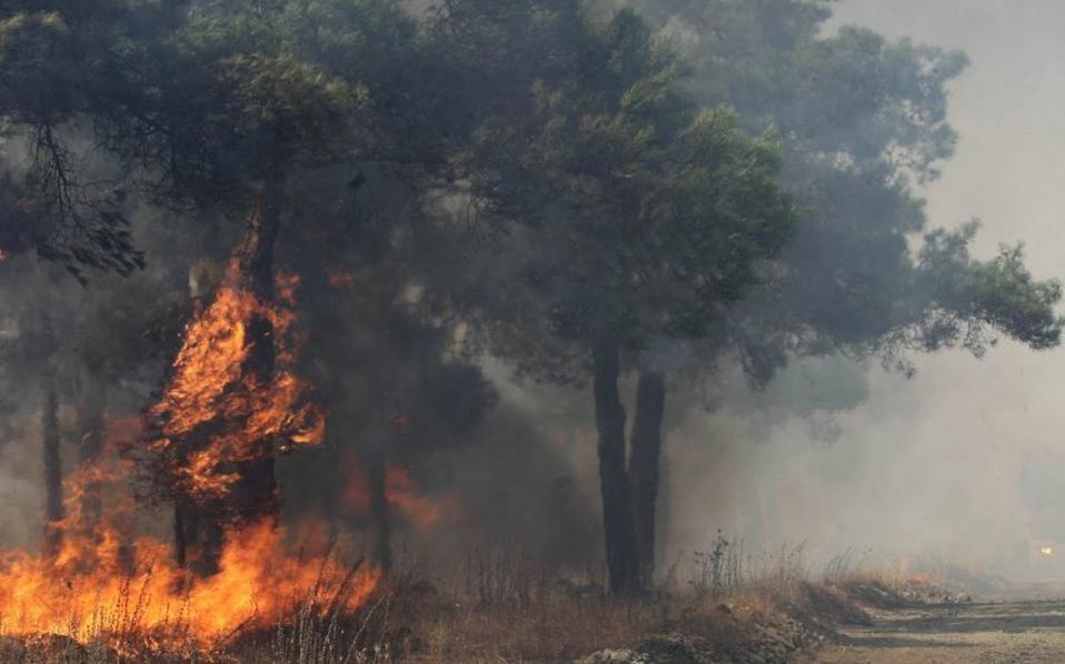 Απόστολος Κατσιφάρας: Σε ελάχιστη ώρα η φωτιά κύκλωσε το χωριό- Ανησυχία του Περιφερειάρχη για τις πυρκαγιές των τελευταίων ημερών