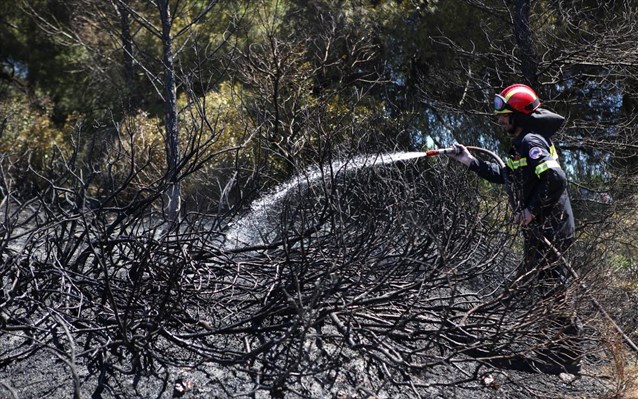 Στις φλόγες οι Σπέτσες- Διάσπαρτες οι εστίες φωτιάς