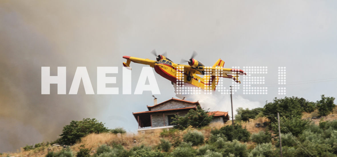 Ηλεία: Η συγκλονιστική βουτιά του Canadair για να σώσει σπίτι στα Ροδινά σε 21 καρέ