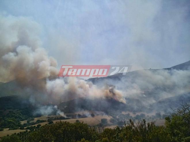 Η ανεξάρτητη Διωκτική Υπηρεσία της Πυροσβεστικής υπηρεσίας στο Σαντομέρι - Από τα μέσα Αυγούστου η ΔΑΕ ψάχνει τον εμπρηστή