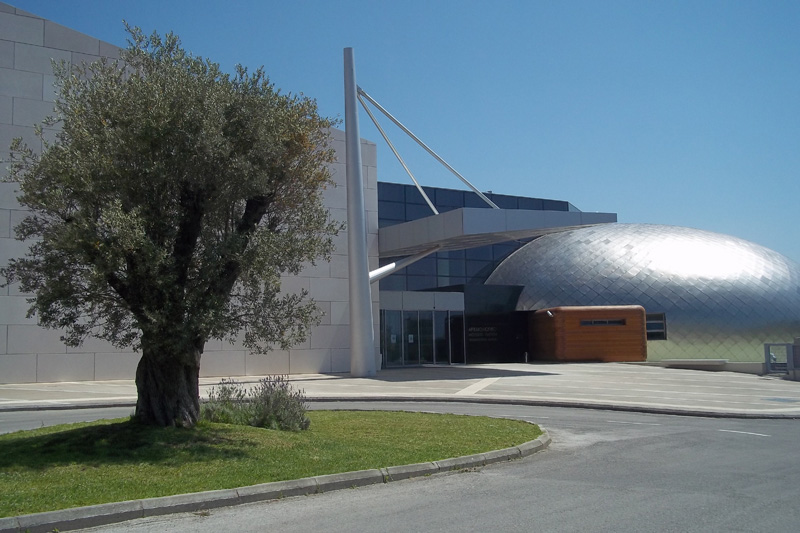 Πολυτεκνική Οργάνωση Πάτρας: Δωρεάν η είσοδος σε Αρχαιογικούς χώρους και Μουσεία