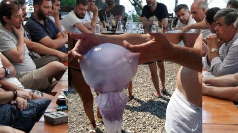 Επιμένουν στην απαλλαγή τελών αιγιαλού οι καταστηματάρχες της Αχαΐας - Τους "τσίμπησαν" οι μέδουσες - Σειρά επαφών από Δευτέρα