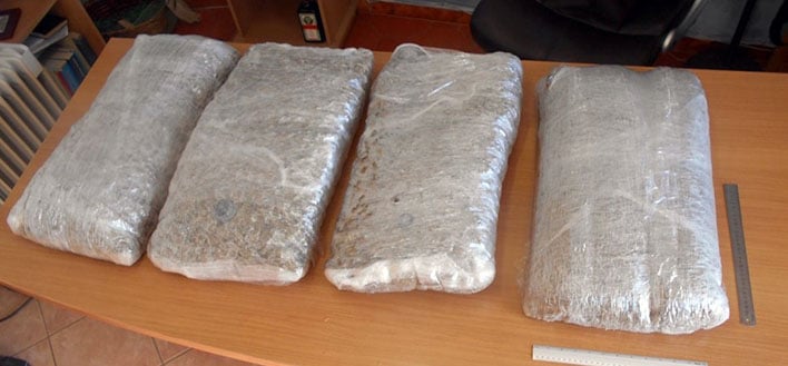 Δυτική Ελλάδα: Σκύλος λαγωνικό "ξετρύπωσε" 23,5 κιλά χασίς