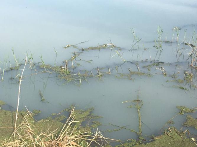 Άλλαξε πάλι χρώμα ο Πείρος-Νέα καταγγελία-Αναμένεται παρέμβαση στον Εισαγγελέα ΦΩΤΟΓΡΑΦΙΕΣ
