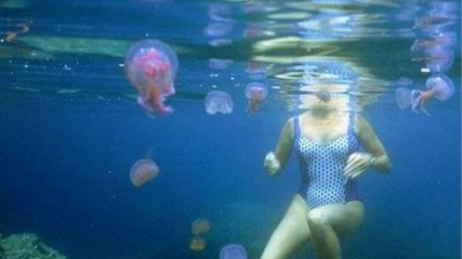 Αχαΐα: Στο Νοσοκομείο γυναίκα μετά από τσίμπημα τσούχτρας στο πρόσωπο! ΒΙΝΤΕΟ