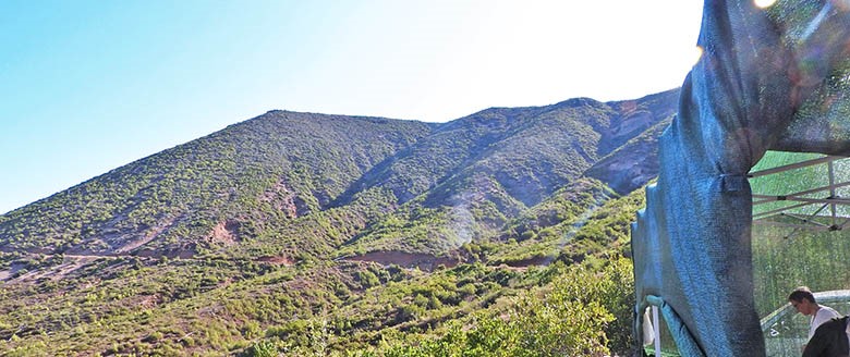 Aιγιάλεια: Ψάχνουν θησαυρό στα Αχούρια Μελισσίων- Το παλάτι του βασιλιά και ο χρυσός από την Κατοχή