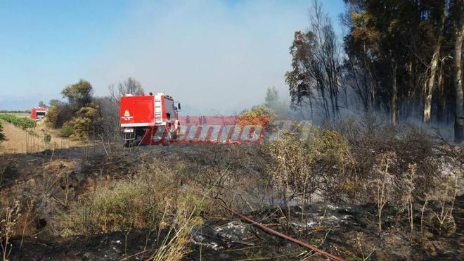 Παίρνουν χρήματα, στις 16 Οκτωβρίου , οι πυρόπληκτοι της Δυτικής Αχαϊας