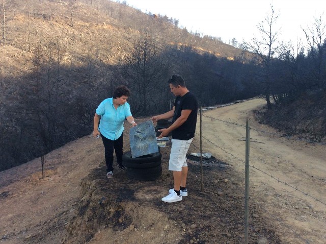 Αθηνά Τραχήλη: Να «τρέξουν» οι αποζημιώσεις για τη Δυτική Αχαΐα