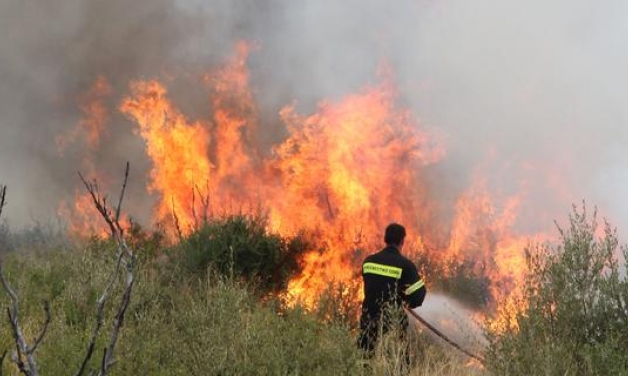 Σε εξέλιξη πυρκαγιά στα Τσίπιανα Ηλείας, στα σύνορα με Αχαϊα