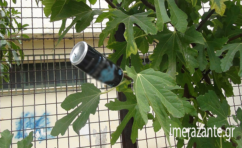 Ζάκυνθος: Μεθυσμένο... διακόσμησαν δέντρο με άδεια κουτιά μπύρας