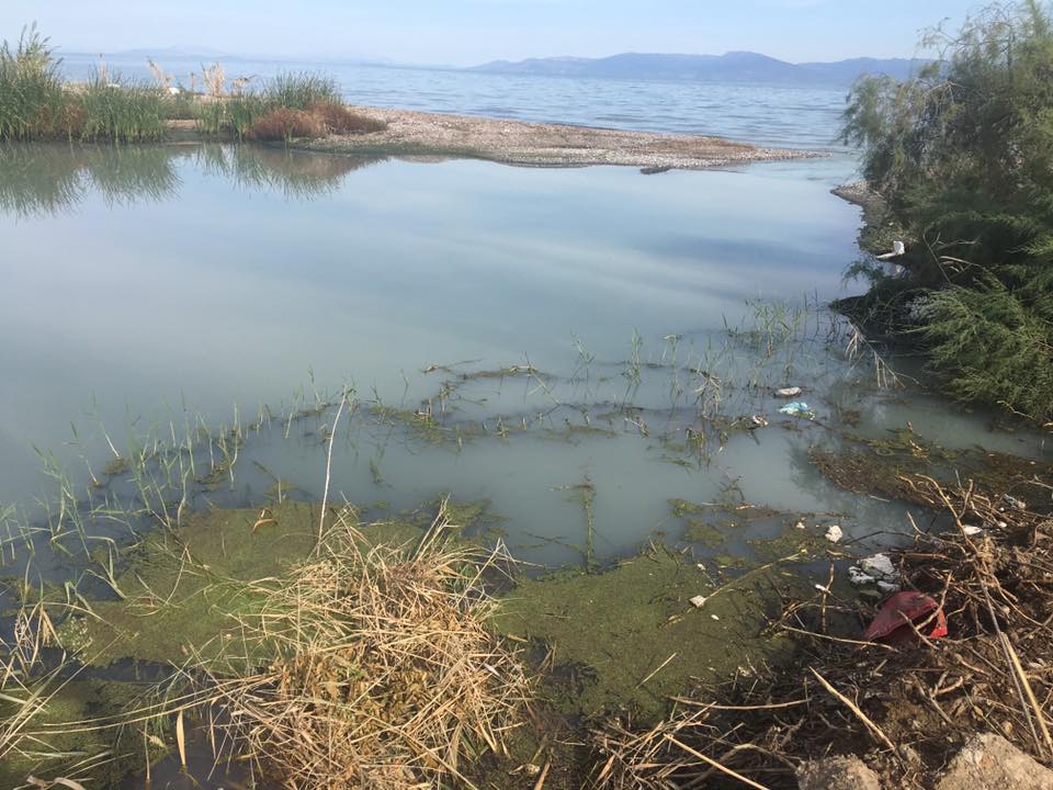 "Περιβαλλοντικό έγκλημα στους Αλισσούς! Πάρτε μέτρα τώρα" - Επιστολή σε Εισαγγελέα, δήμαρχο, Αντιπεφεριάρχη από τον σύλλογο "Πείρο"
