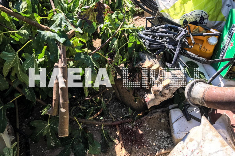 Σαμικό: ΤΡΑΓΙΚΟ - "Γύρισε" το αλυσοπρίνο και του έκοψε την κεντρική αρτηρία - Έχασε τη ζωή του 86χρονος - ΒΙΝΤΕΟ - ΦΩΤΟ