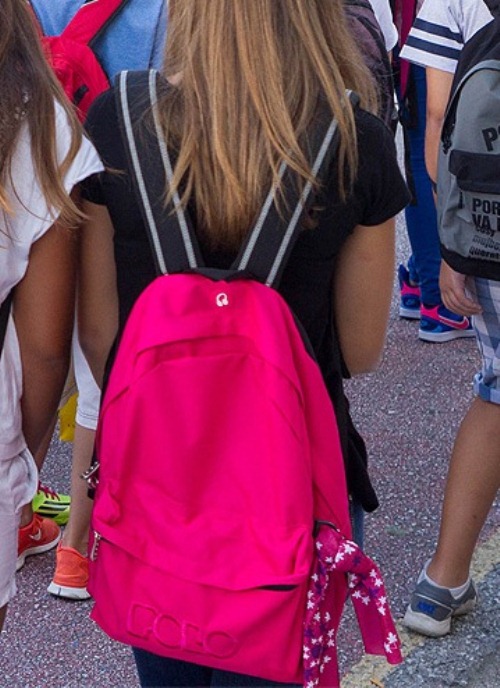 Αχαΐα: Συναγερμός στην ΕΛ.ΑΣ. - Ανήλικη έφυγε το πρωί να πάει σχολείο αλλά δεν εμφανίστηκε ... Σε εξέλιξη οι έρευνες