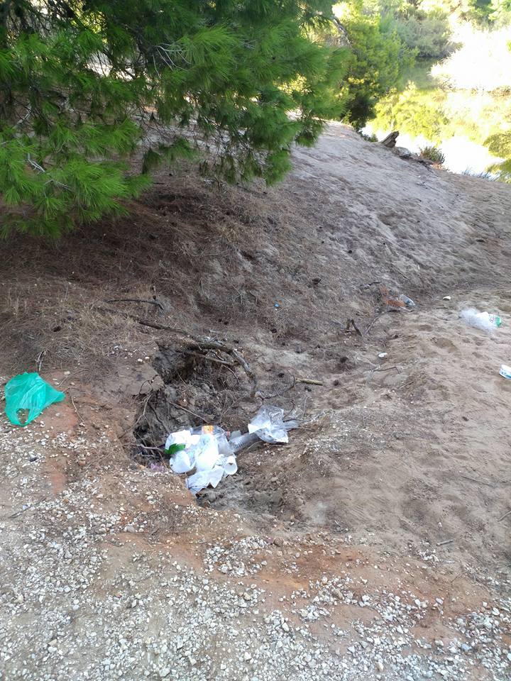 Αχαΐα: Σοβαρές καταγγελίες για το μοναδικό στον κόσμο δάσος της Στροφυλιάς - Το Εθνικό Πάρκο που προστατεύεται από διεθνείς συνθήκες και την UNESCO, στο έλεος της αυθαιρεσίας! ΦΩΤΟΓΡΑΦΙΕΣ