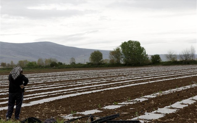 Η αλλαγή των τιμών ορισμένων τροφίμων μπορεί να σώσει χιλιάδες ζωές κάθε χρόνο