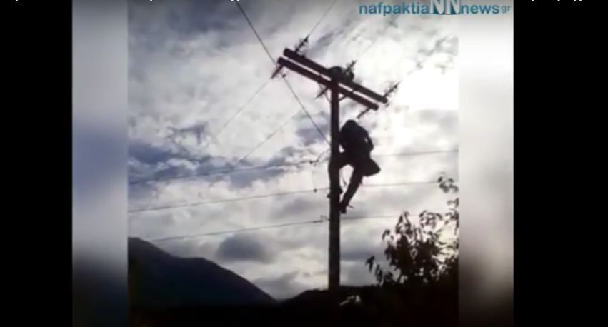Απίστευτο βίντεο με διάσωση …γάτας από κολόνα της ΔΕΗ!