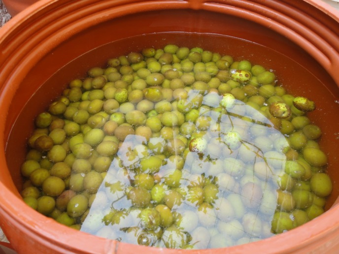 Δυτική Ελλάδα: Μπήκαν σε αποθήκη και έκλεψαν δοχεία με δυο τόνους ελιές