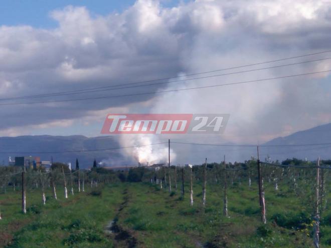 Μητσοτάκης για τα επεισόδια στην Αθήνα: Είναι τα δικά τους παιδιά