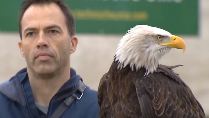 Γιατί η αστυνομία απέλυσε τους αετούς και τους...αρουραίους της - ΒΙΝΤΕΟ