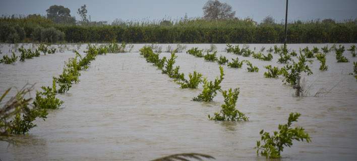 Η δυτική Ελλάδα μετρά τις πληγές της από την σφοδρή κακοκαιρία - Ξεκίνησε η καταγραφή των ζημιών - Σε επιφυλακή θα συνεχίσει να βρίσκεται ο μηχανισμός της Περιφέρειας - ΦΩΤΟ