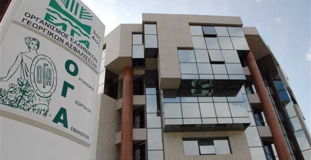 Πάτρα: Απίστευτη περιπέτεια για μητέρα τριών παιδιών! Δεν της δίνουν το επίδομα του ΟΓΑ γιατί συνέχεια... χάνουν ένα παραστατικό